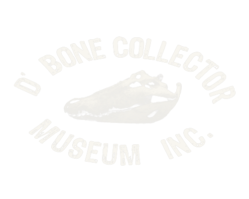 D' Bone Collector Museum