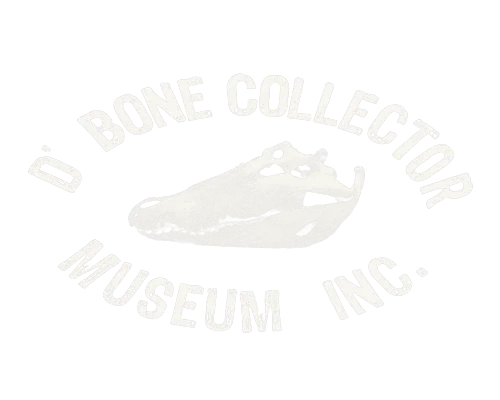 D' Bone Collector Museum